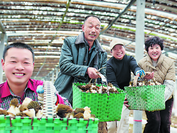 春日特色產業“別樣紅”